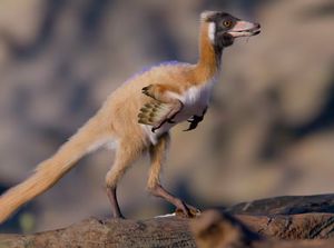 Penemuan Dinosaurus Seukuran Ayam Ini Bongkar Teori T-Rex Menciut