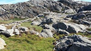 Game sebelum Buka Puasa: Temukan Mereka yang Berkamuflase!