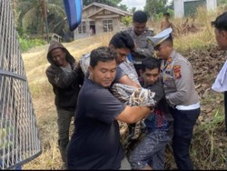 Bus PMH Tabrak Truk di Jalan Lintas Timur Pelalawan, 4 Tewas