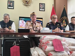 Penyelundupan 54 Ribu Benur Senilai Rp 1 M ke Singapura Via YIA Digagalkan