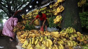 Lesunya Penjualan Pisang di Pasar Lembang Ciledug