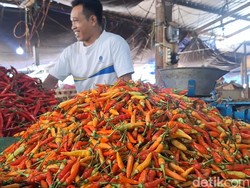 Pedasnya Harga Cabai Rawit Jadi Pemicu Inflasi di NTB
