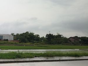 Bocah Hilang Disebut Terseret Arus Parit di Bentangan Klaten