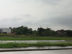 Bocah Hilang Disebut Terseret Arus Parit di Bentangan Klaten