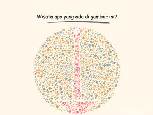 Ayo Tes Buta Warna Sambil Jalan-jalan, Bisa Jawab atau Masih Keliru?