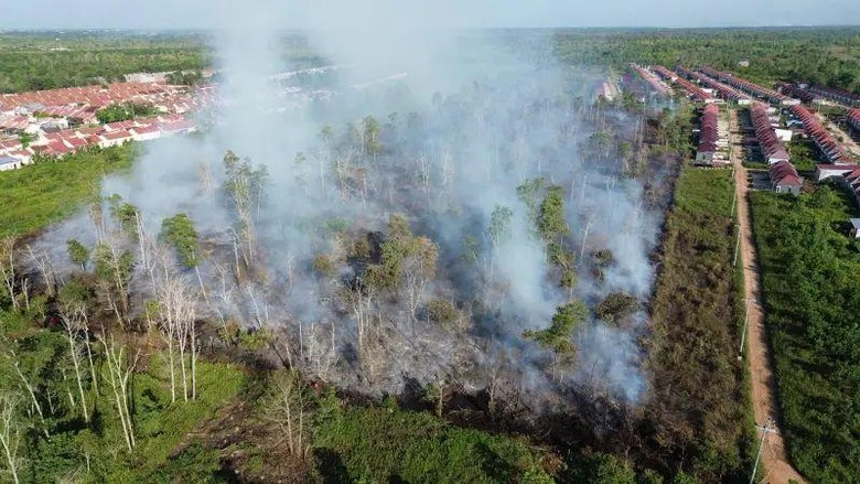 Lahan 7,2 Hektare di Kubu Raya Terbakar, Polisi Selidiki Dugaan Kesengajaan