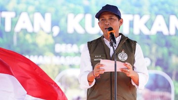 Menhut Terbitkan Aturan Baru soal Perdagangan Karbon, Ini Isinya