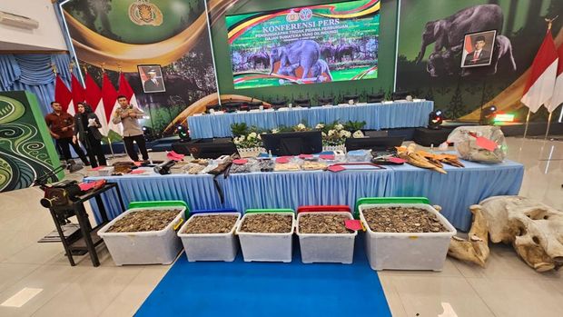 Polda Riau menggelar konferensi pers kasus pembunuhan gajah di Pelalawan, Riau, Selasa (3/3/2026).