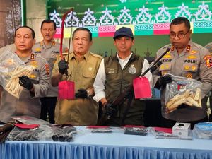 Gading Gajah di Riau Dijual hingga Ratusan Juta, Berakhir Jadi Pipa Rokok