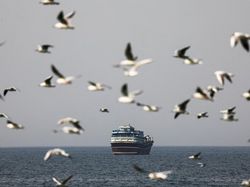 5 Berita Terpopuler Internasional Hari Ini