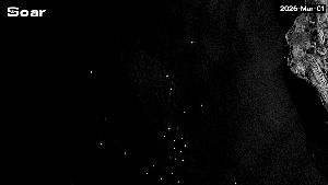 Potret Satelit Ratusan Kapal Besar Tertahan di Selat Hormuz