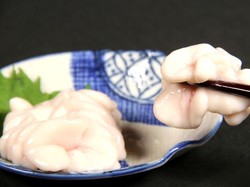 Sperma Ikan Lagi Viral Dikonsumsi di Jepang, Berani Coba?