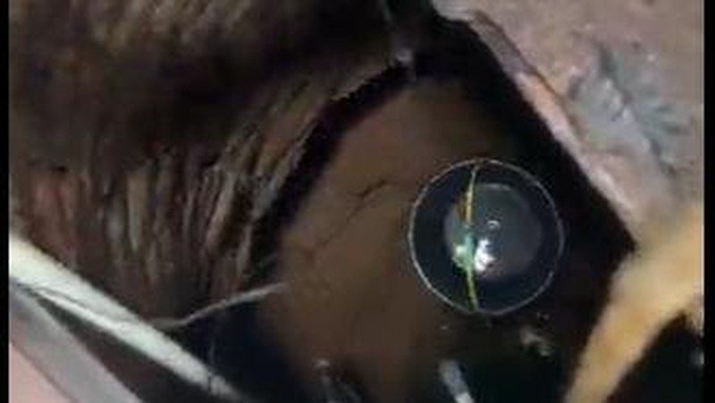 Desa Kadujajar Kekurangan Air Bersih untuk Mandi-Minum, Mari Kita Bantu