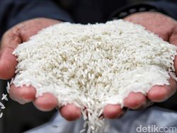 Produksi Beras Terancam Turun hingga Juli