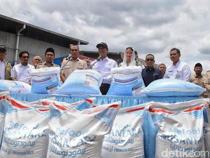 2.280 Ton Beras RI Diekspor ke Arab Saudi untuk Jamaah Haji