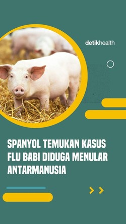 Video: Spanyol Temukan Kasus Flu Babi diduga Menular Antarmanusia