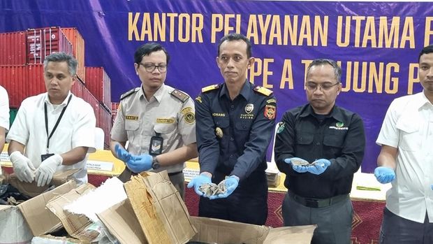 Konferensi pers kasus penyelundupan sisik trenggiling (Taufiq/detikcom)