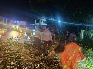 Hujan Angin Tumbangkan Pohon di Nganjuk Timpa Pemotor