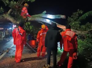 17 Bangun Rusak dan 25 Pohon Tumbang di Pasuruan Disapu Angin Kencang