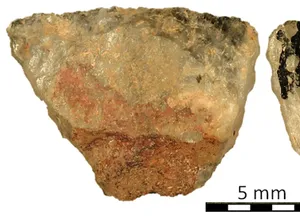 Penemuan Anak Panah Beracun di Negara Ini, Tertua di Dunia?