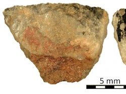 Penemuan Anak Panah Beracun di Negara Ini, Tertua di Dunia?