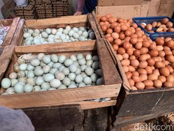 Jelang Lebaran, Harga Telur Ayam di Palembang Kini Tembus Rp 29.000/kg