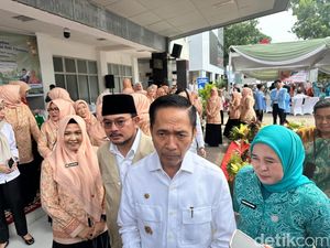 Ratu Dewa Minta Desain Jembatan Menara Air Mancur Dikaji Ulang, Ini Alasannya