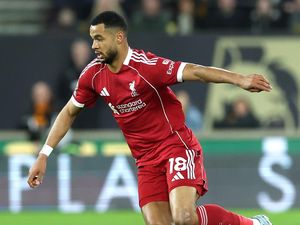 Dear Arne Slot, Cadangkan Cody Gakpo!