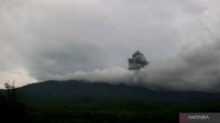 Gunung Lewotobi Laki-laki Kembali Erupsi, Semburkan Abu Vulkanik 1,2 Km