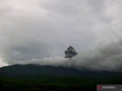 Gunung Lewotobi Laki-laki Kembali Erupsi, Semburkan Abu Vulkanik 1,2 Km