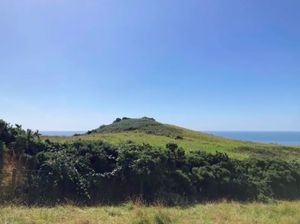 Arkeolog Klaim Temukan Makam Raja Viking Legendaris