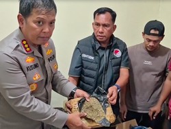 Polisi Tangkap Pengedar Narkoba di Kota Bekasi, 44 Kg Ganja Disita