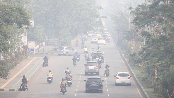 Pontianak Diselimuti Kabut Asap Karhutla