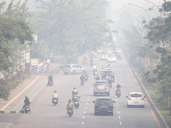Kalbar Catat Karhutla Terluas di Indonesia Sepanjang 2026, Ini Penyebabnya