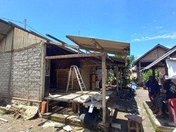 Hujan Angin Terjang Jembrana, Sejumlah Pohon Tumbang-Atap Rumah Beterbangan