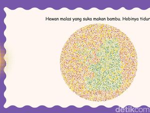 Ketajaman Mata Diuji di Sini, Coba Tebak Hewan Apa yang Lagi Bersembunyi