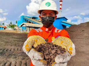 Pemanfaatan Biomassa untuk Listrik Capai 1,14 Juta Ton di 2025