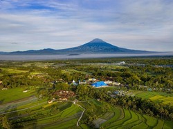 Kedai Kopi Unik di Lereng Gunung Merapi Hasil Racikan Para Santri