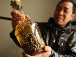 Sering Bikin Turis Kaget! Ini 6 Makanan Lokal yang Dikenal Ekstrem