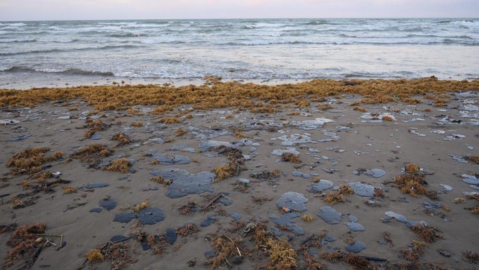 Tumpahan Minyak Cemari Pantai Veracruz Menghentikan Kegiatan Nelayan