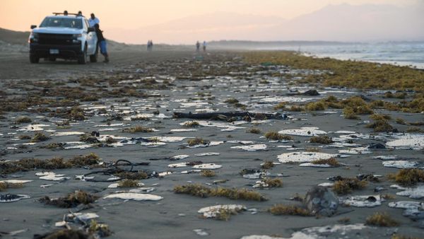 Tumpahan Minyak Cemari Pantai Veracruz, Nelayan dan Warga Pesisir Terdampak