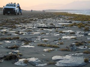 Tumpahan Minyak Cemari Pantai Veracruz, Nelayan dan Warga Pesisir Terdampak