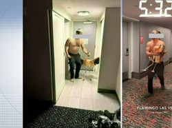 Mabuk Berat, Turis Curi Flamingo dan Paksa Selfie di Kamar Hotel