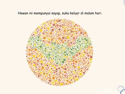 Tes Ketajaman Saraf Mata, Temukan 7 Hewan di Tes Buta Warna Ini