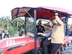 Polda Riau Manfaatkan 40 Ha Lahan Replanting Sawit Tumpang Sari Jagung