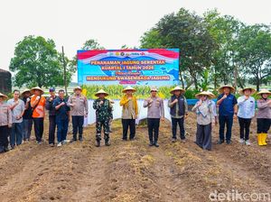 Sinergi Polri-Pemkab Karawang Sulap 27 Hektare Lahan Jadi Kebun Jagung