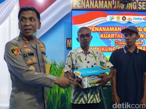 Polresta Sidoarjo Tanam Jagung Serentak Kwartal I 2026 di Lahan 35 Hektare