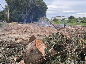 Hutan Kota Taman Firdaus Pinrang Dibabat untuk Bangun Kopdes Merah Putih