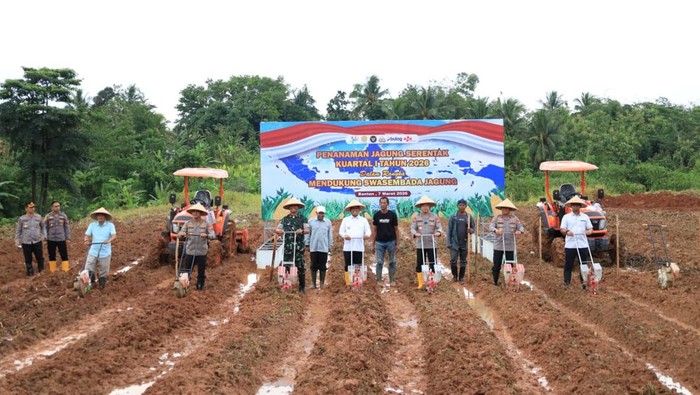 Polda Banten Luncurkan Program Penanaman Jagung di Serang