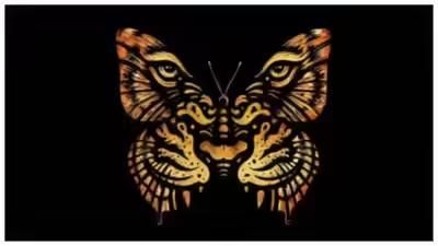 Tes kepribadian ilusi optik, kupu-kupu atau harimau yang pertama kamu lihat ungkap kamu memimpin dengan kekuasaan atau kasih sayang